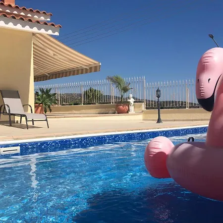 Peyia Palm Villa Paphos Extérieur photo
